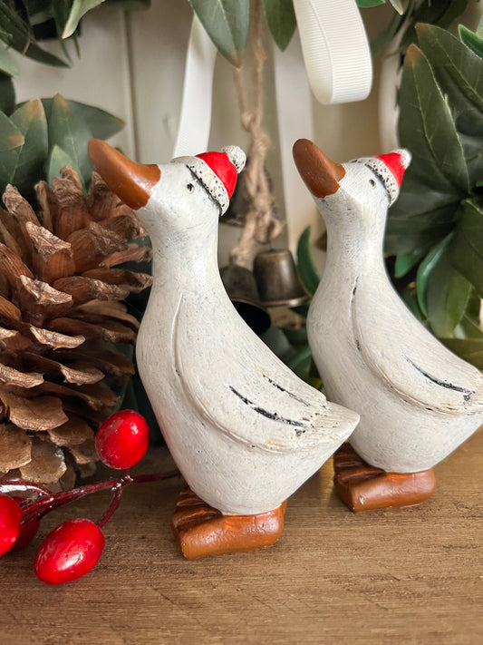 White Christmas Duck