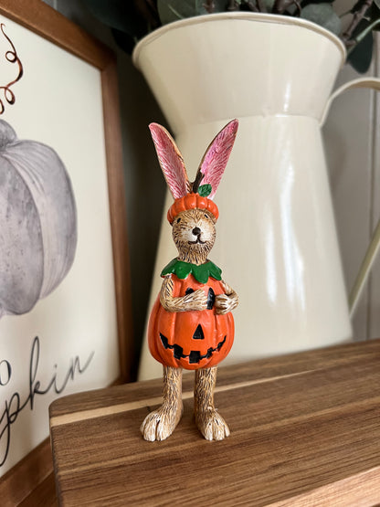 Jasper Rabbit With Pumpkin