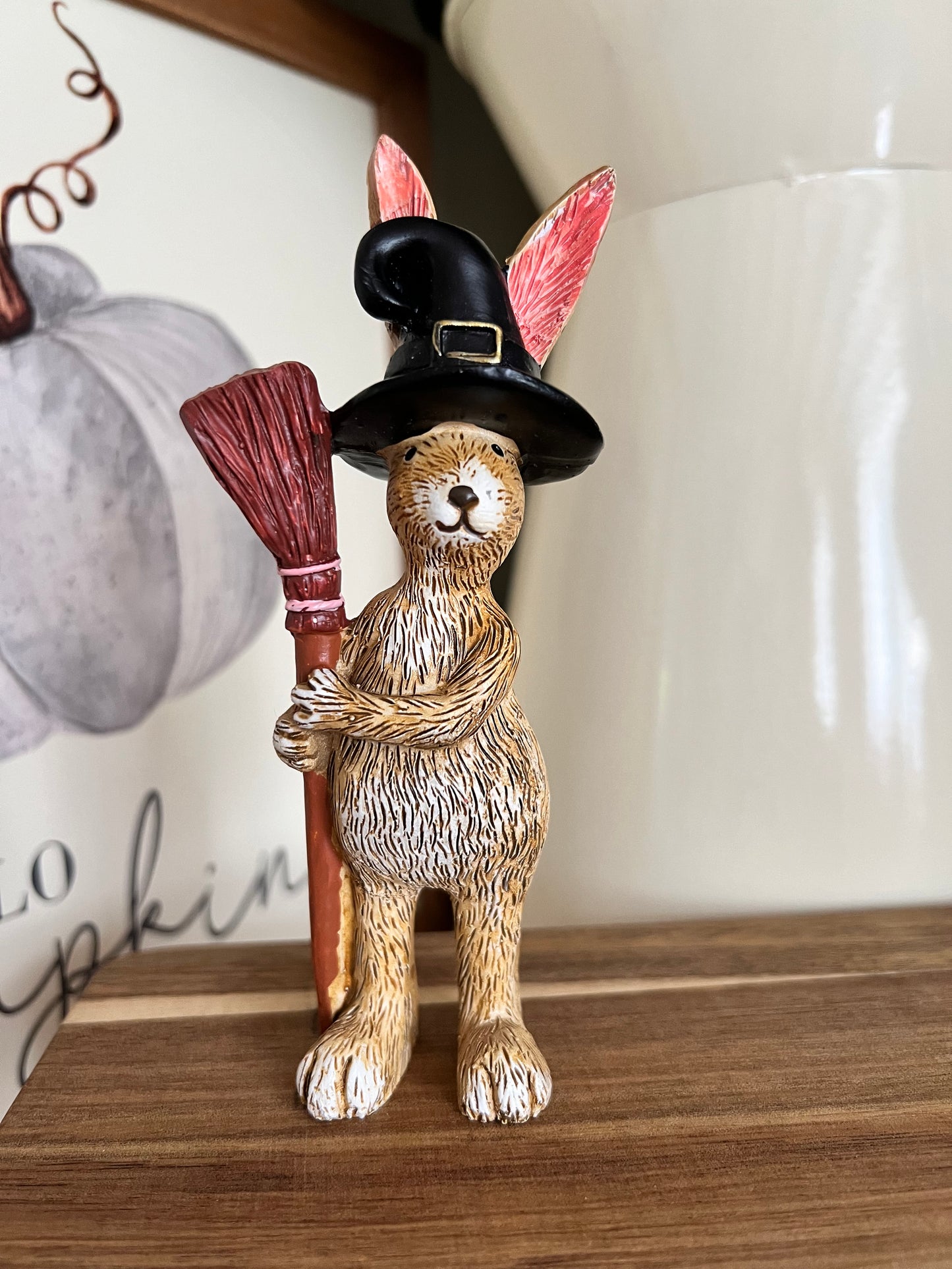 Jasper Rabbit With Broomstick