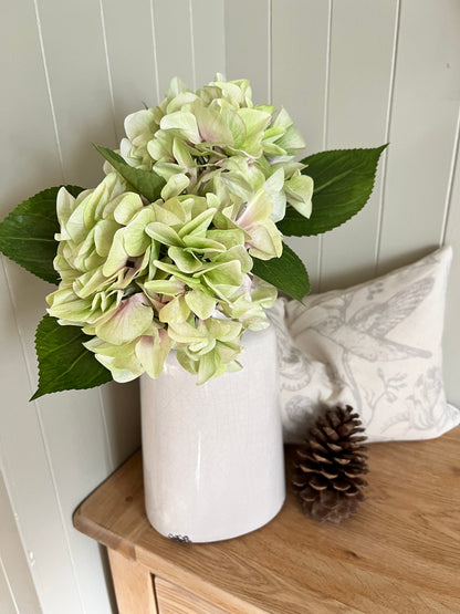 Shabby Green Single Hydrangea