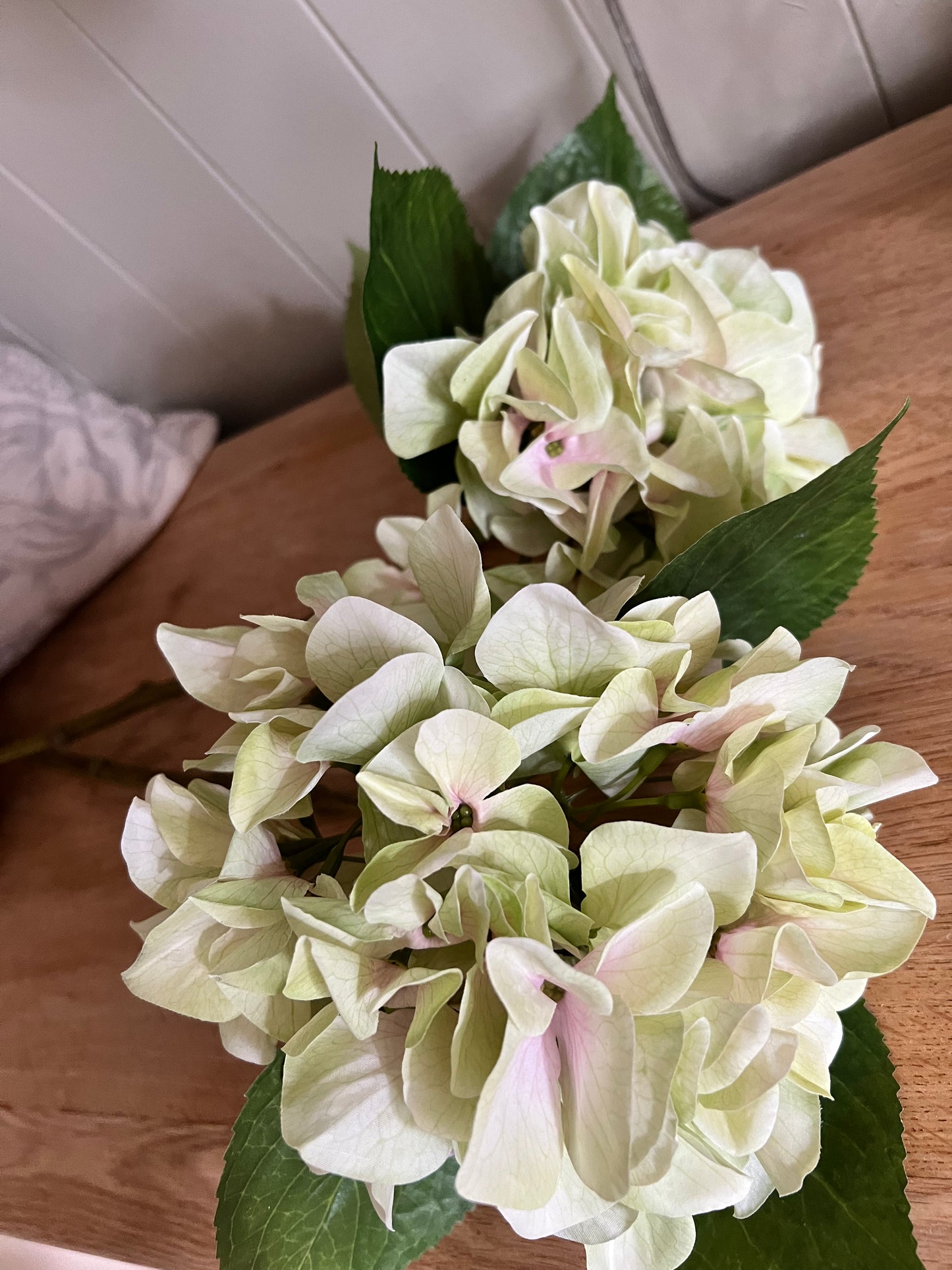 Shabby Green Single Hydrangea