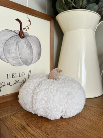 White Sherpa Pumpkin