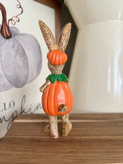 Jasper Rabbit With Pumpkin