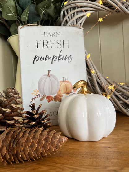 White Ceramic Pumpkin